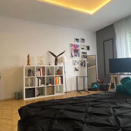 New Opera Studio Old City Center Self Check In Apartment Timisoara Luaran gambar